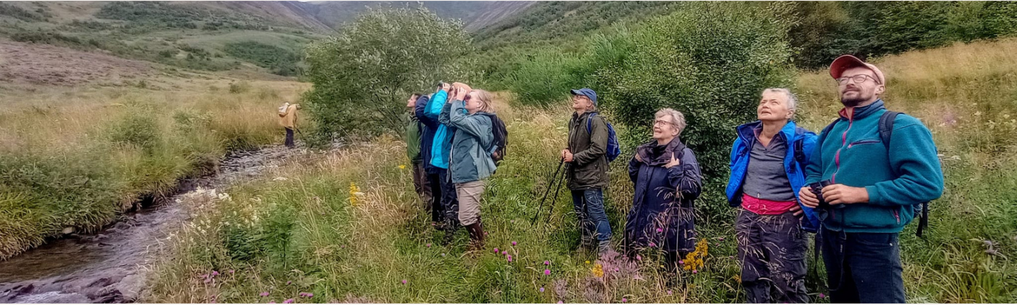 Minibus trip participants enjoy views of a Golden Eagle at Carrifran Wildwood. Photo: Barry O’Dowd